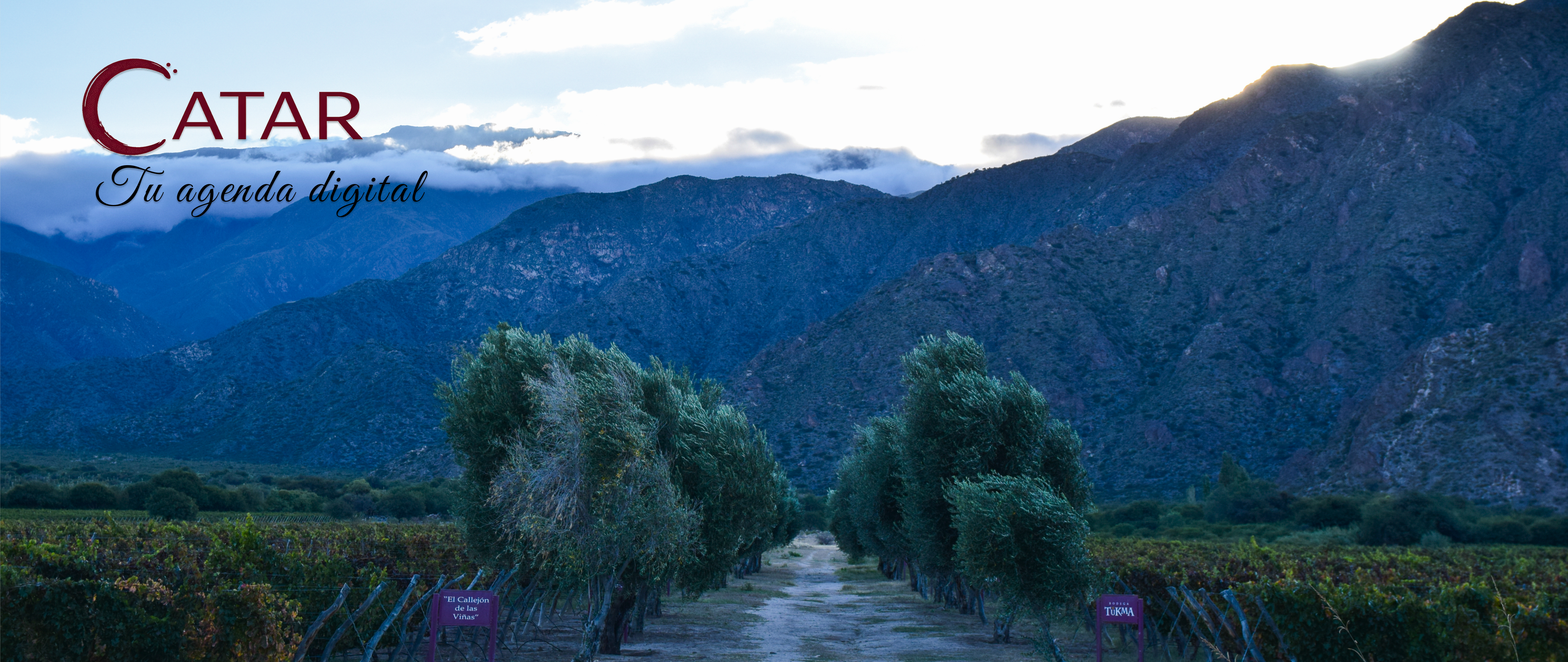 Bodegas que se abren al mundo