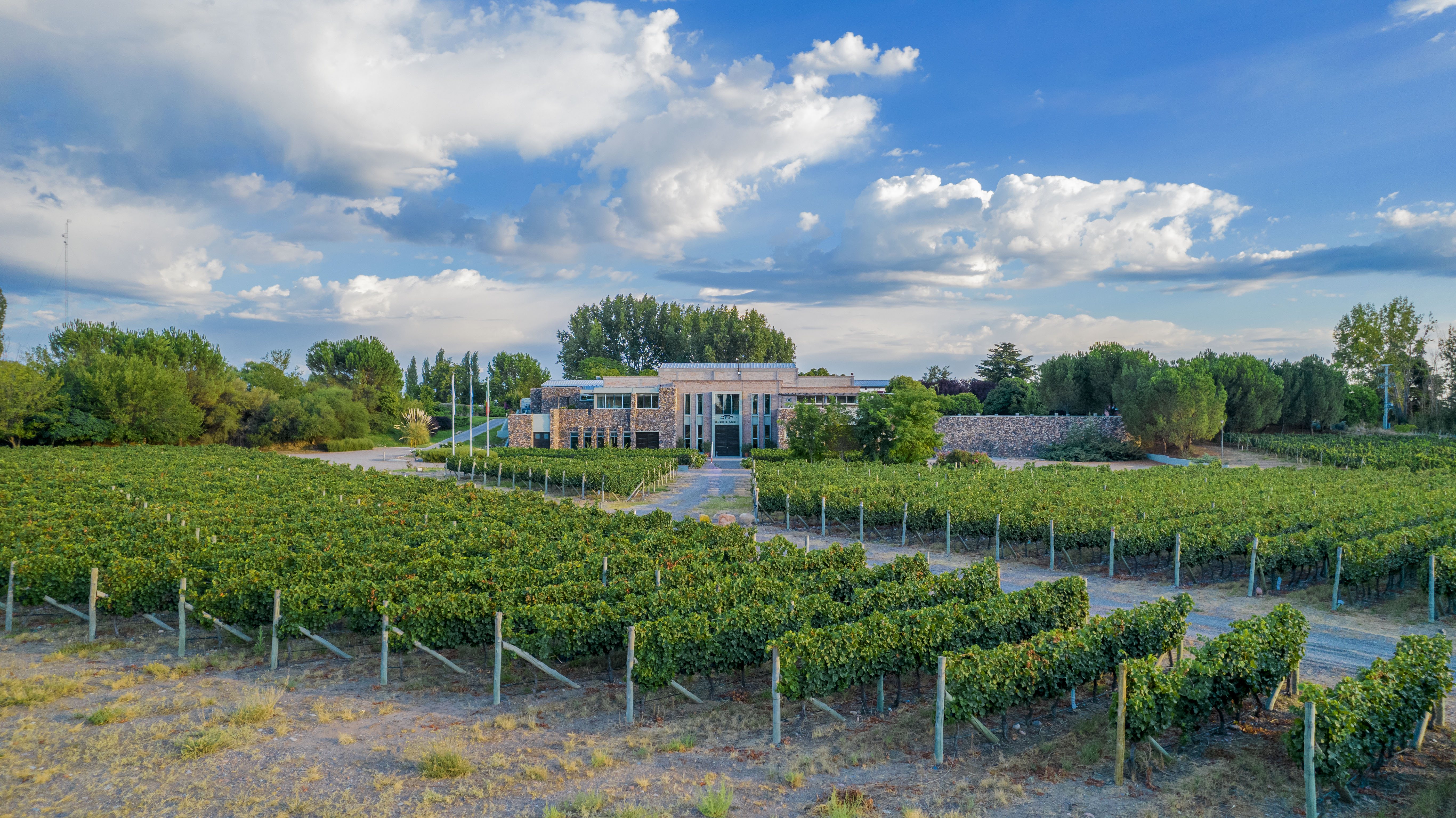 Bodegas Bianchi (Enzo Bianchi)