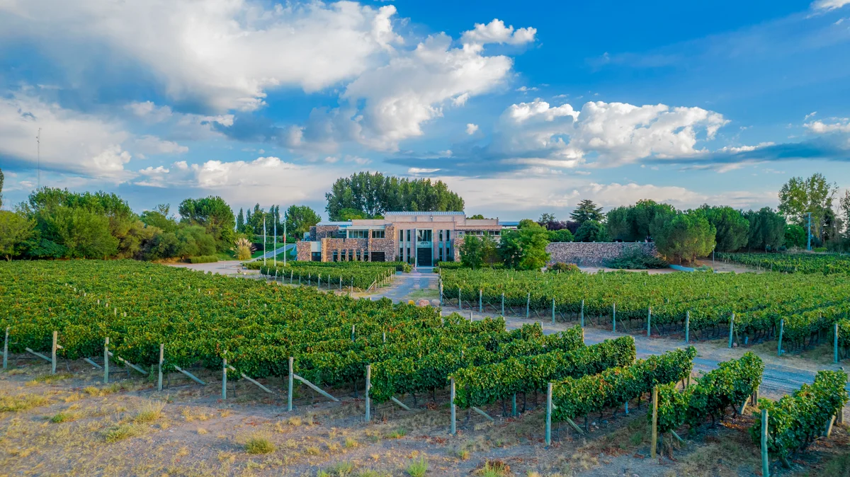 Bodegas Bianchi (Enzo Bianchi)