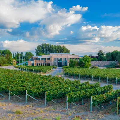 Bodegas Bianchi (Enzo Bianchi)