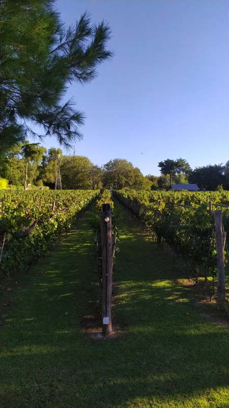 Finca La Marta