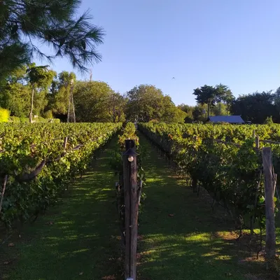 Finca La Marta