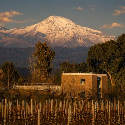 Dolium Bodega Subterránea
