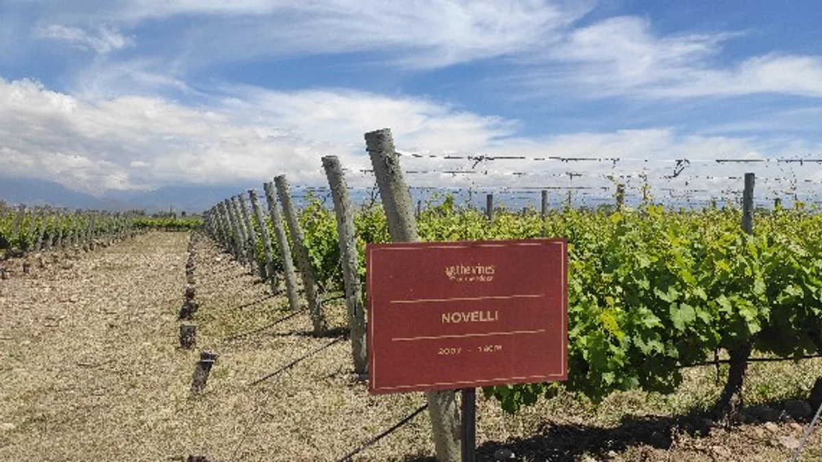 Finca Novelli
