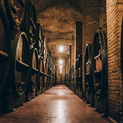 Bodega y Cava de Weinert