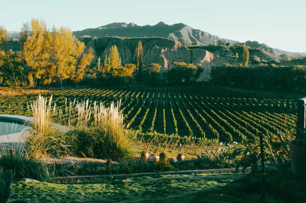 Bodega Isasmendi