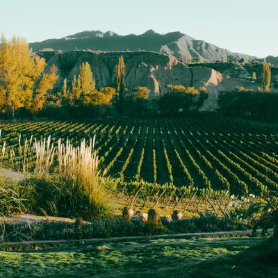 Bodega Isasmendi