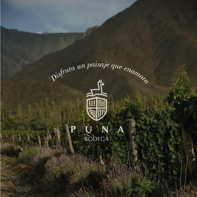 Bodega Puna