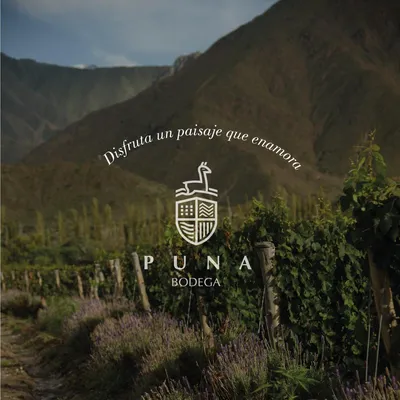 Bodega Puna