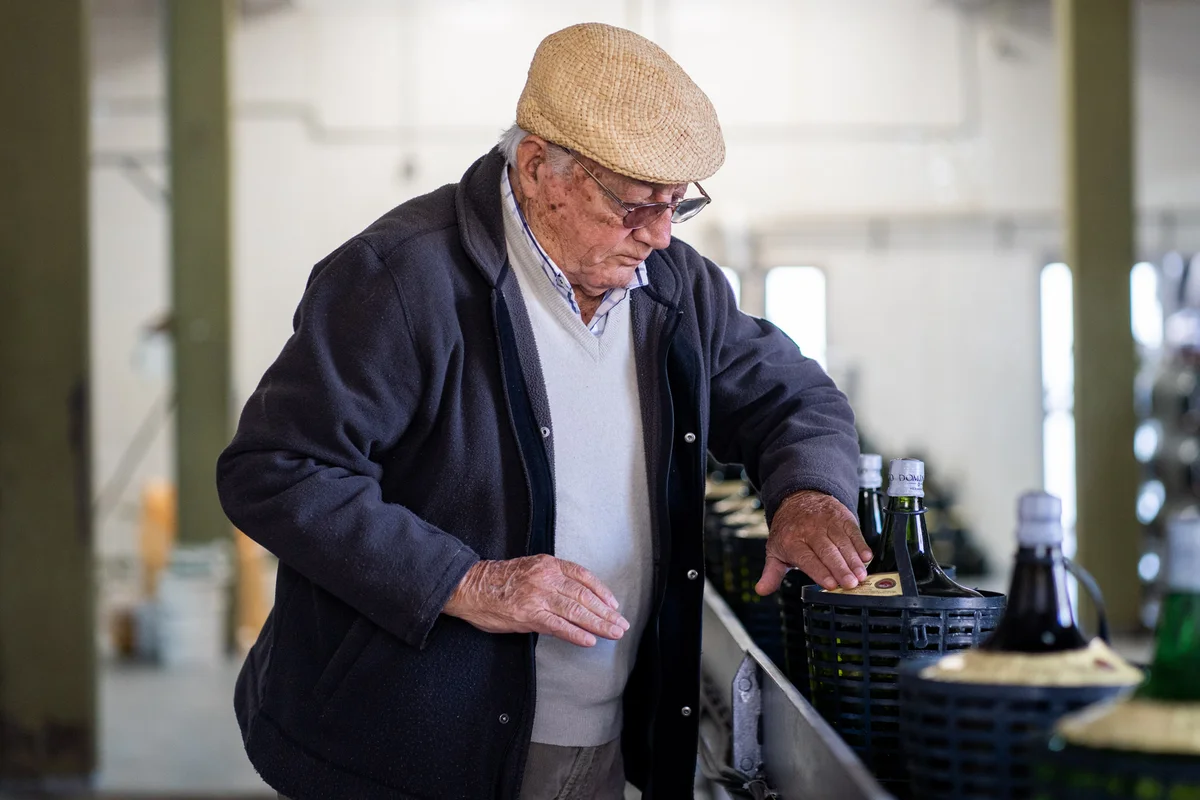 Bodega Domingo Hermanos