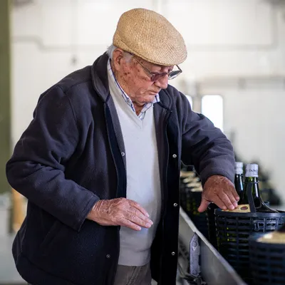 Bodega Domingo Hermanos