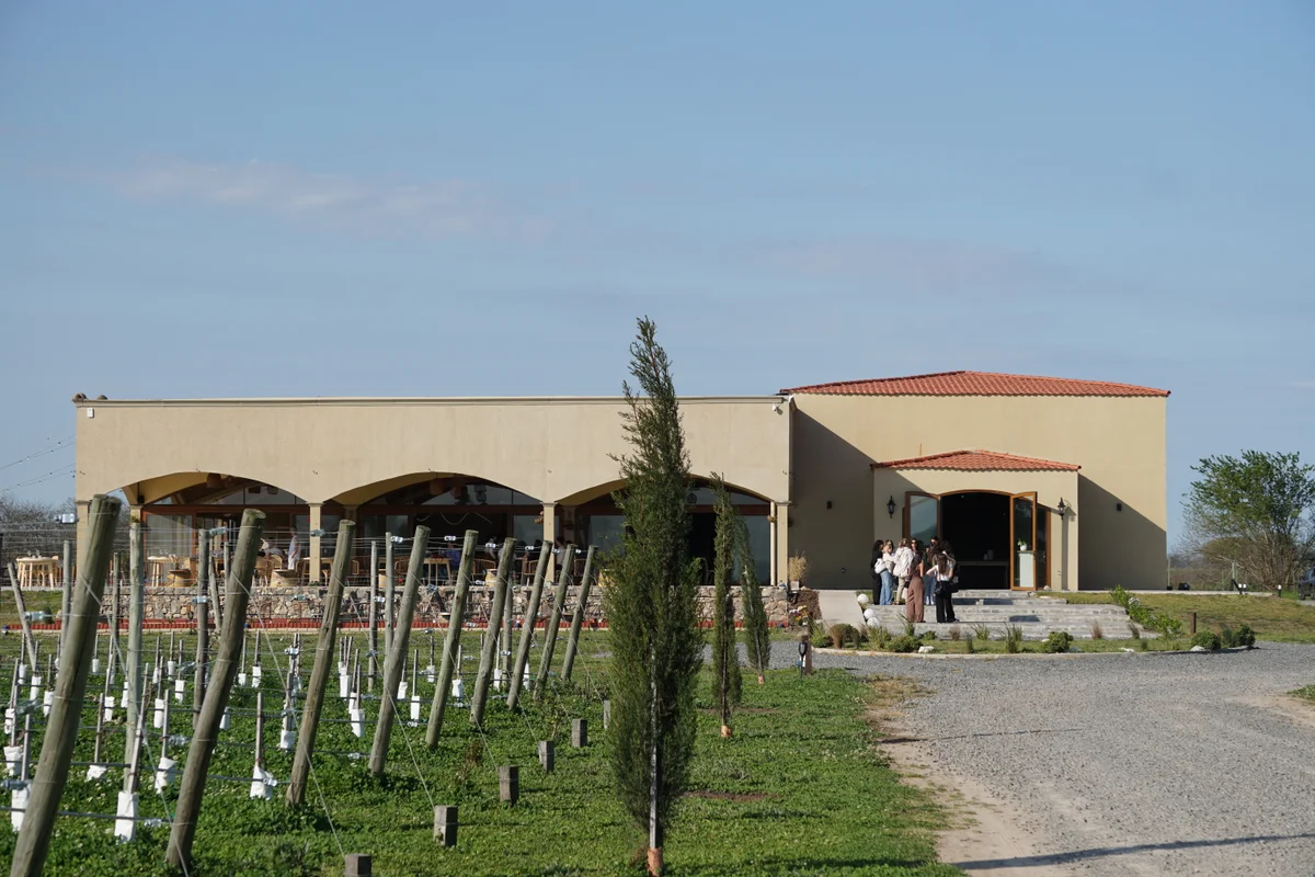 Zaffratelli