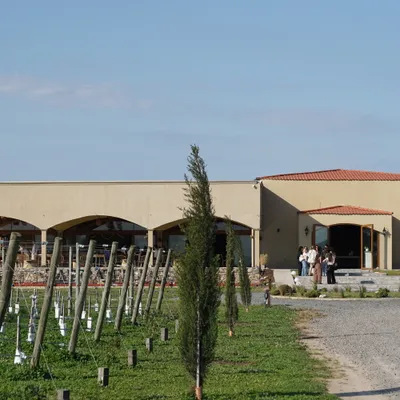 Zaffratelli