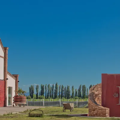 Bodega Iaccarini