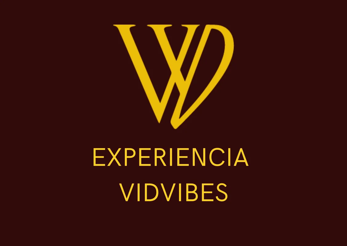 Vidvibes