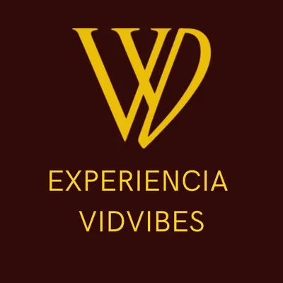 Vidvibes